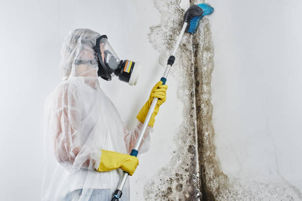 Best Industrial Mold Remediation  in Red Lake, MN